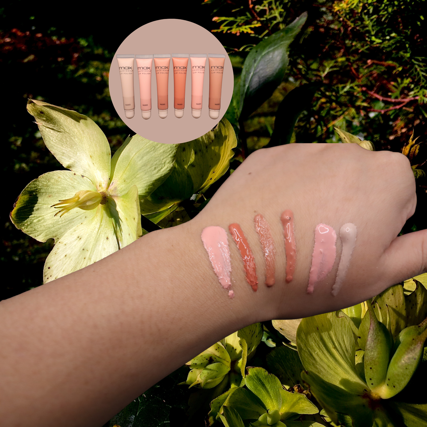 Nude Lips Variety Gloss Bundle